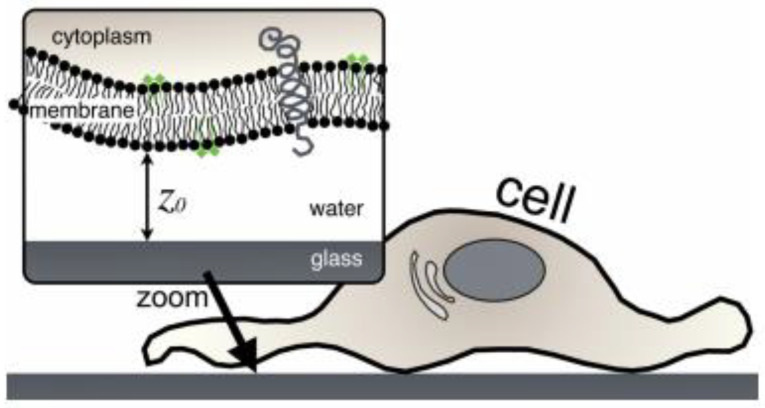 Figure 16