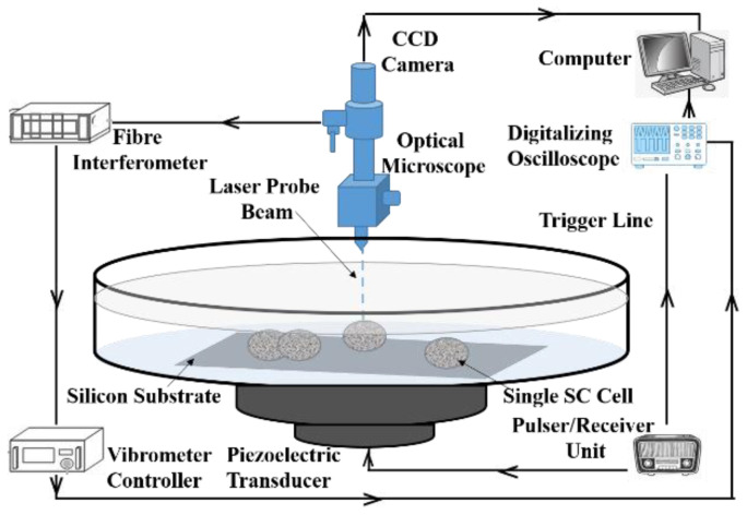 Figure 17