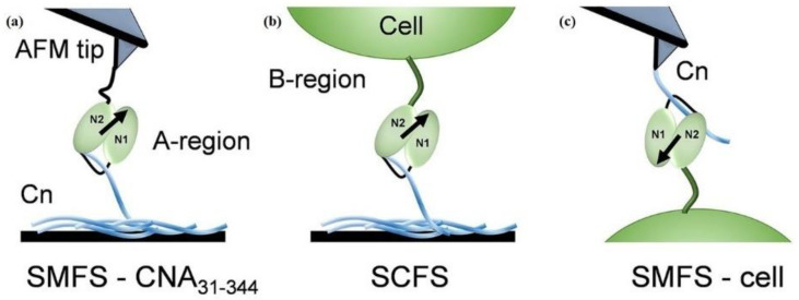 Figure 12