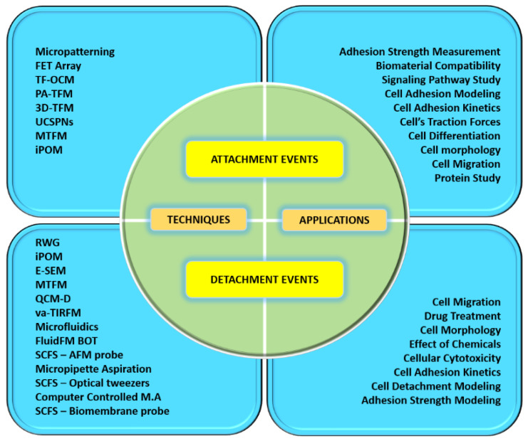 Figure 21