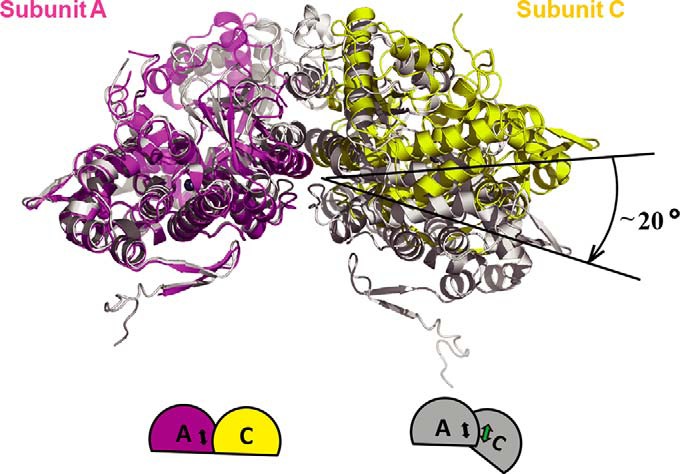 FIGURE 4.