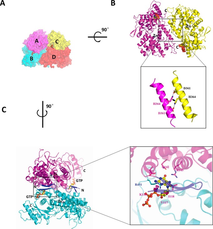 FIGURE 2.