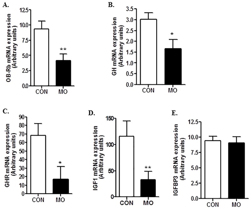 Fig 4