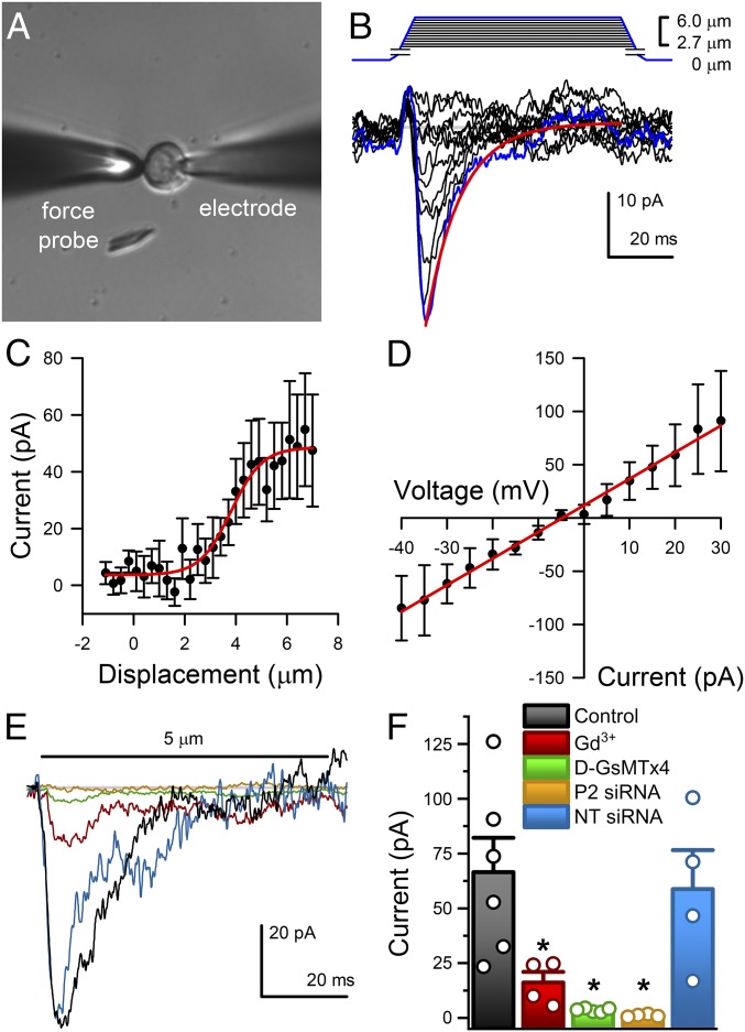 Fig. 3.