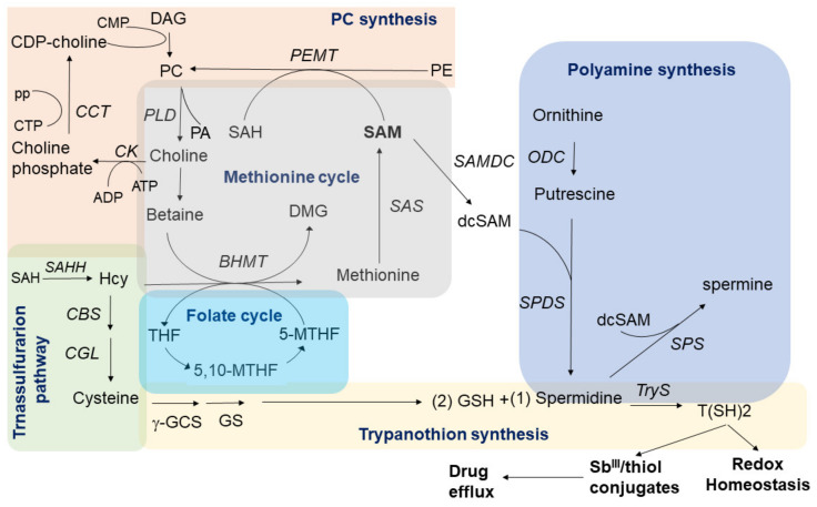 Figure 11