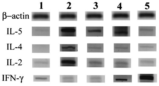 FIG. 5.