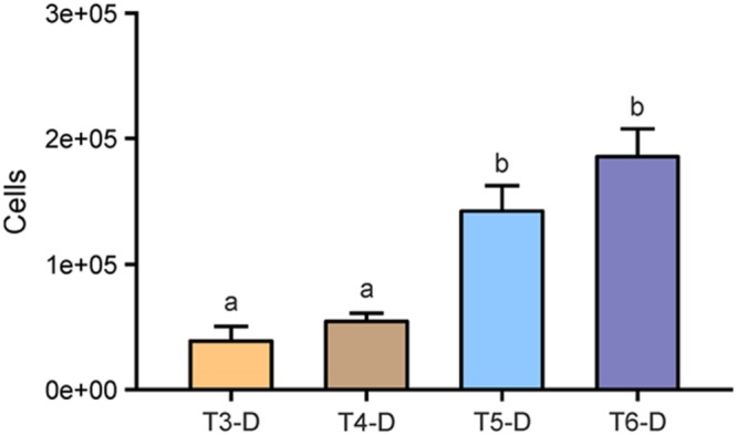 FIGURE 3