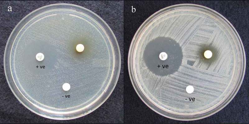 Figure 4.