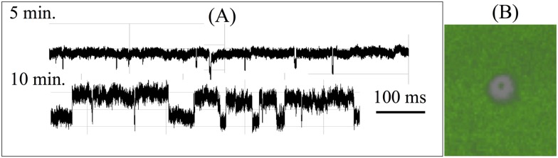 FIG. 1.