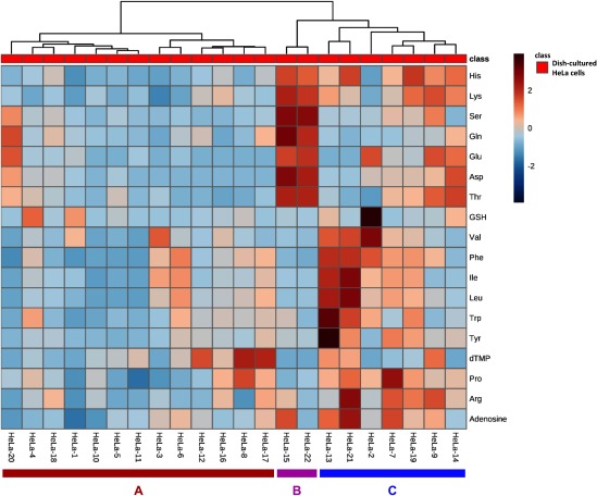 Fig. 5. HCA results for 22 single HeLa cells using peak areas of the detected metabolites. The horizontal axis indicates single-cell samples (HeLa-1–HeLa-22) and the vertical axis indicates metabolites. The HCA conditions were as follows: distance, Euclidean; clustering algorithm, Ward; and metabolome data, mean-centered and divided by the standard deviation of each variable.