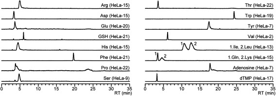 Fig. 2. PFPP-nano-LC-MRM chromatograms of metabolites detected from single HeLa cells. A total of 16 amino acids and 2 nucleic acid-related metabolites were detected.