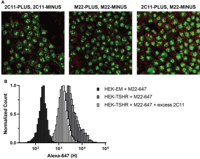 Figure 4