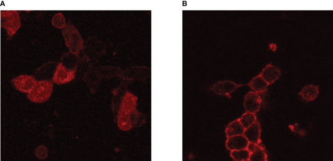 Figure 2