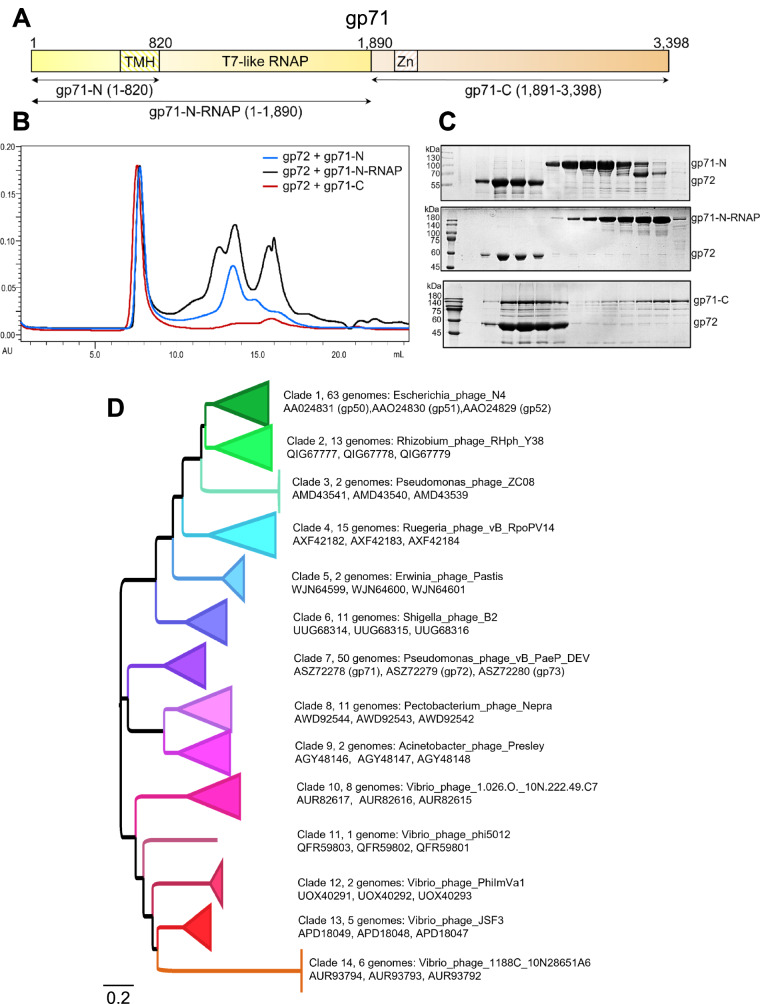 Fig. 8