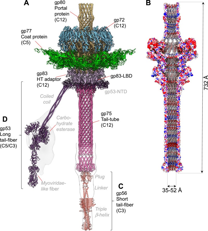 Fig. 2