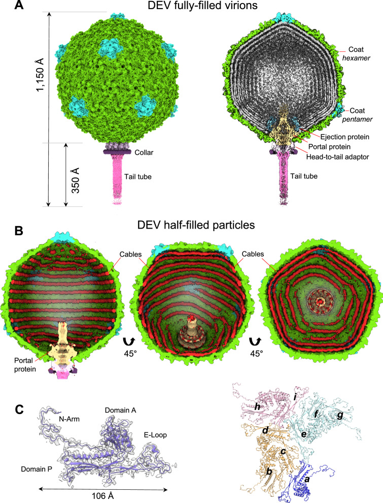 Fig. 1