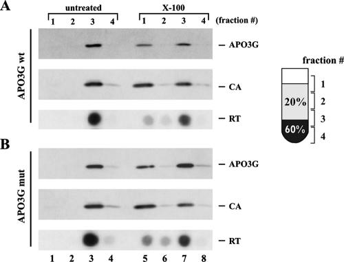 FIG. 5.