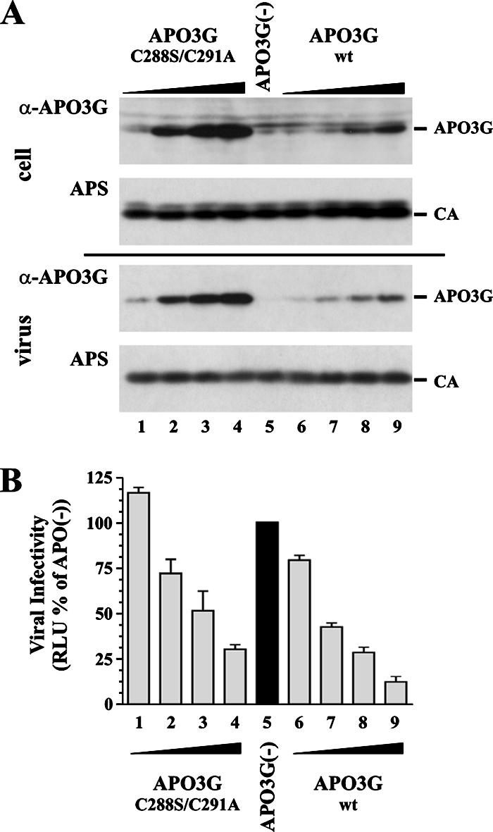 FIG. 1.