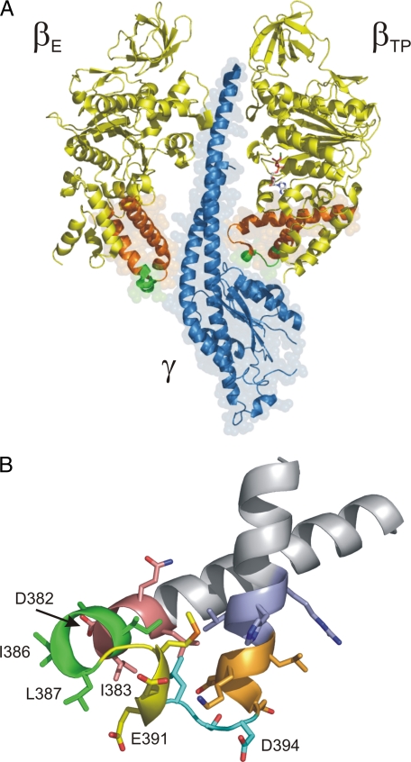 FIGURE 1.