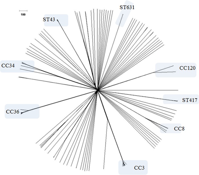 FIG 1