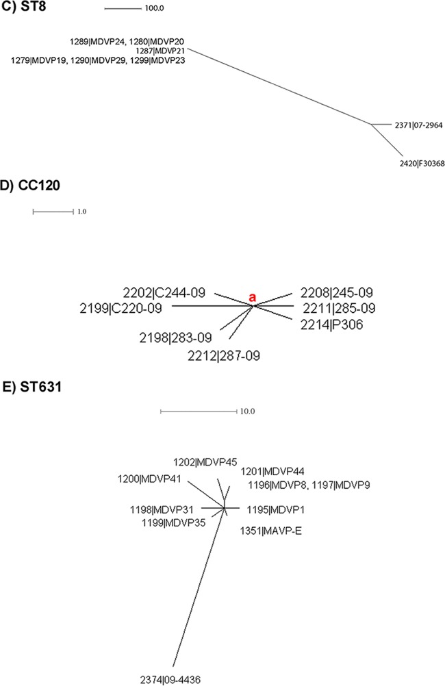 FIG 2