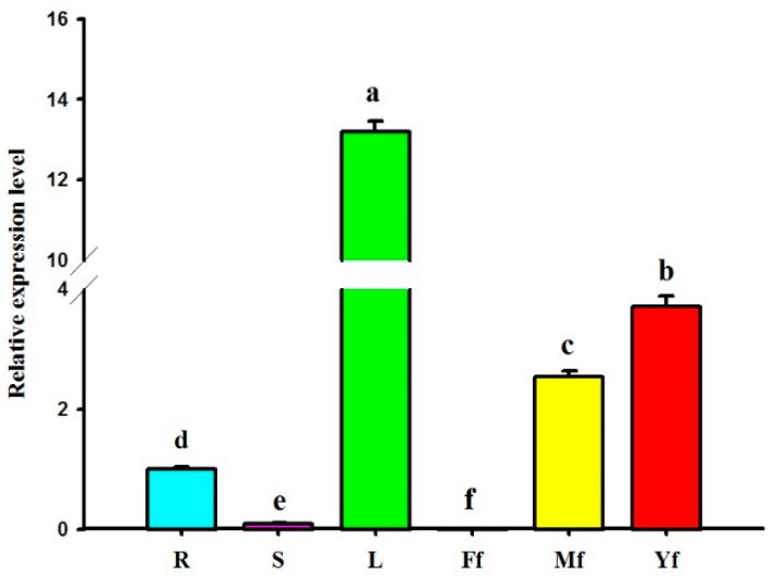 Figure 6