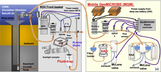 Image, graphical abstract