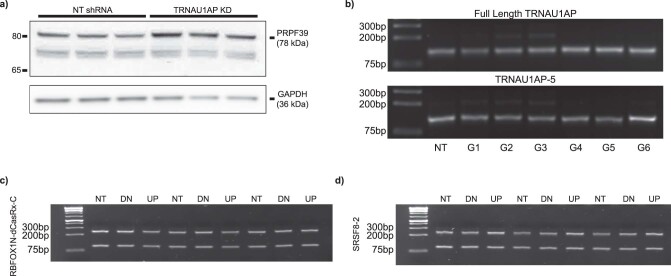 Extended Data Fig. 6