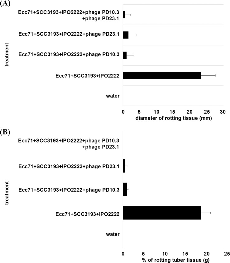 Fig 5