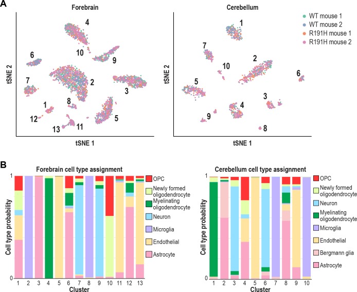 Figure 5—figure supplement 1.