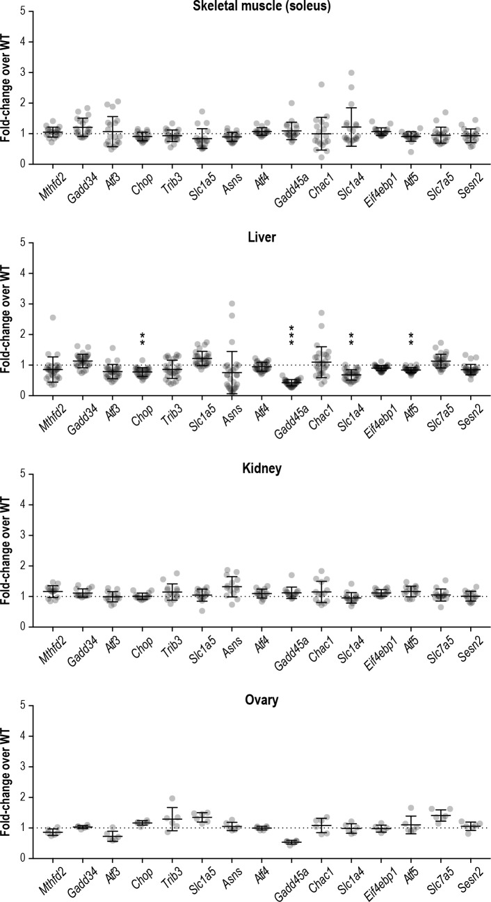 Figure 3—figure supplement 3.