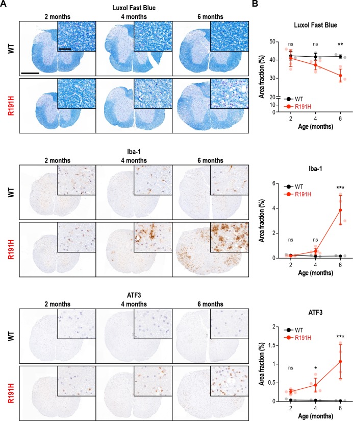 Figure 2—figure supplement 2.