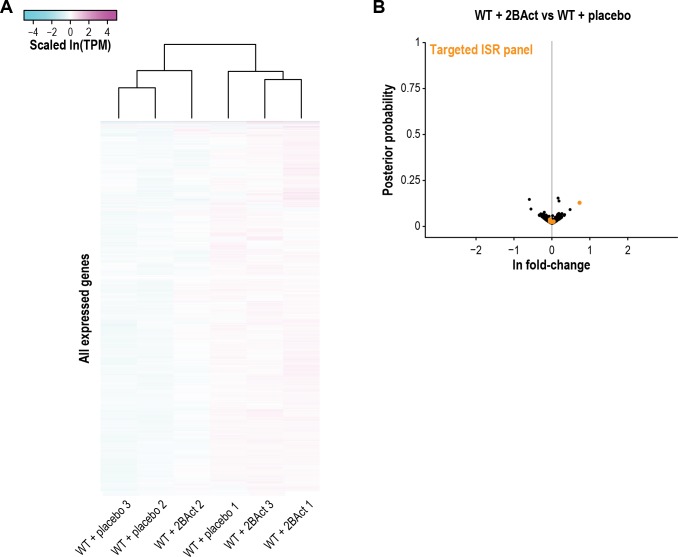 Figure 4—figure supplement 2.