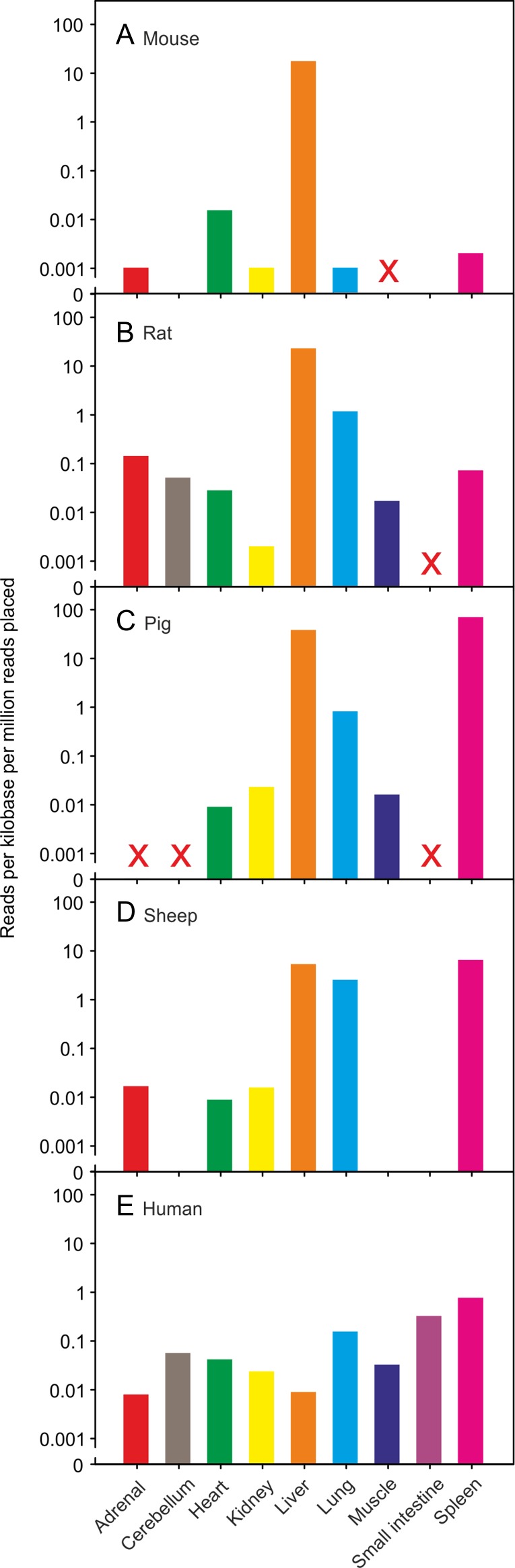 Fig. 4.