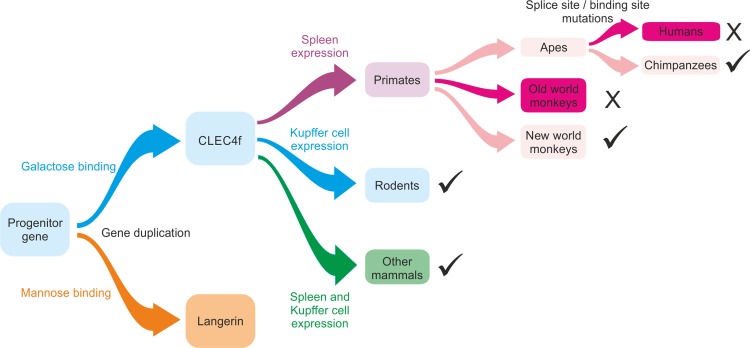 Fig. 12.