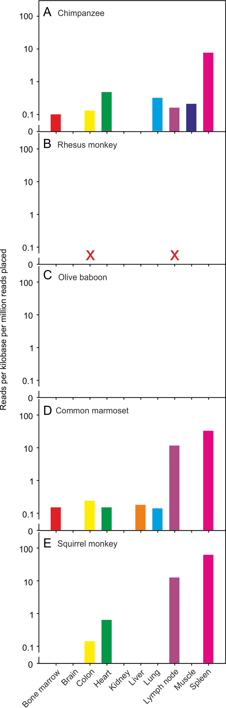 Fig. 8.