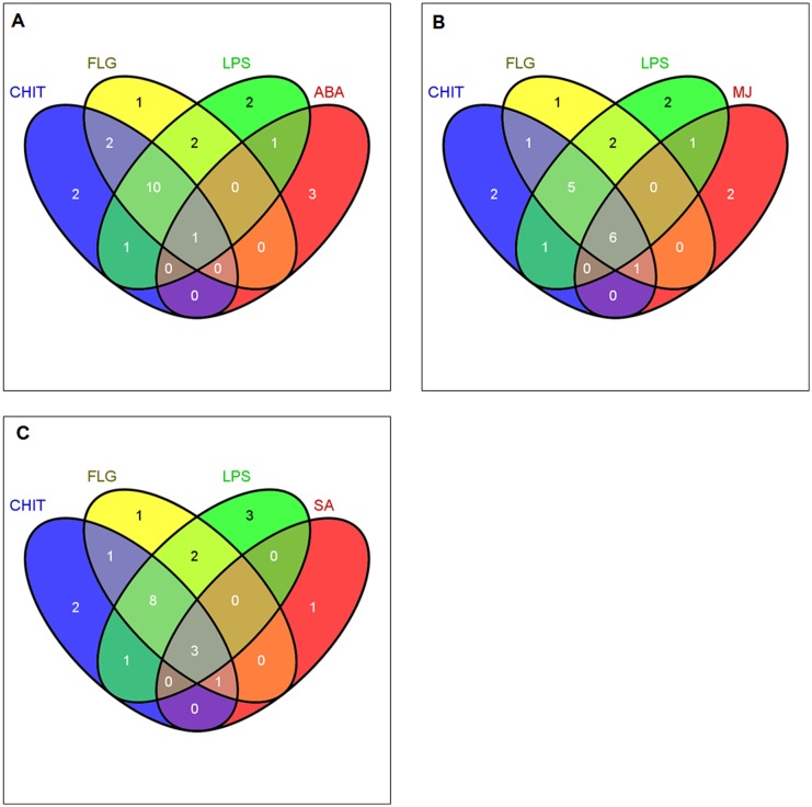 Fig 8