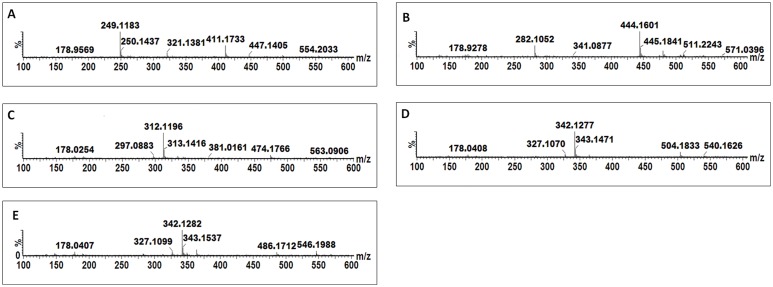 Fig 6