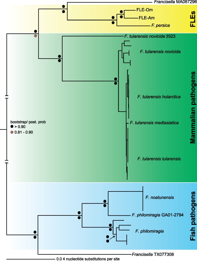 Fig. 3.