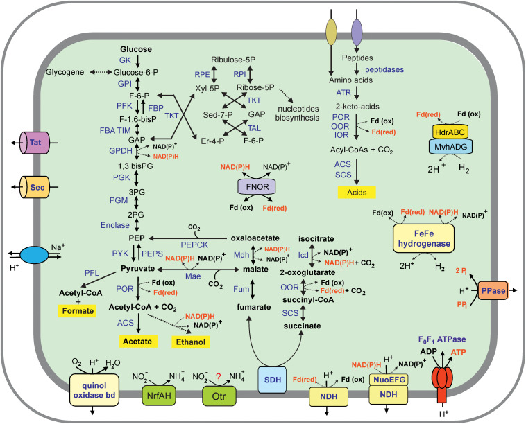 FIGURE 3