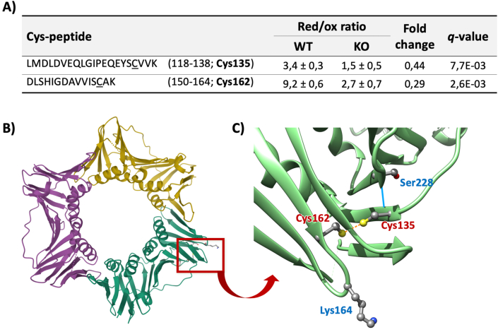 Fig. 8