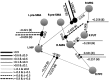 <b>FIG. 2.</b>