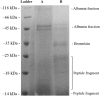 Fig. 4