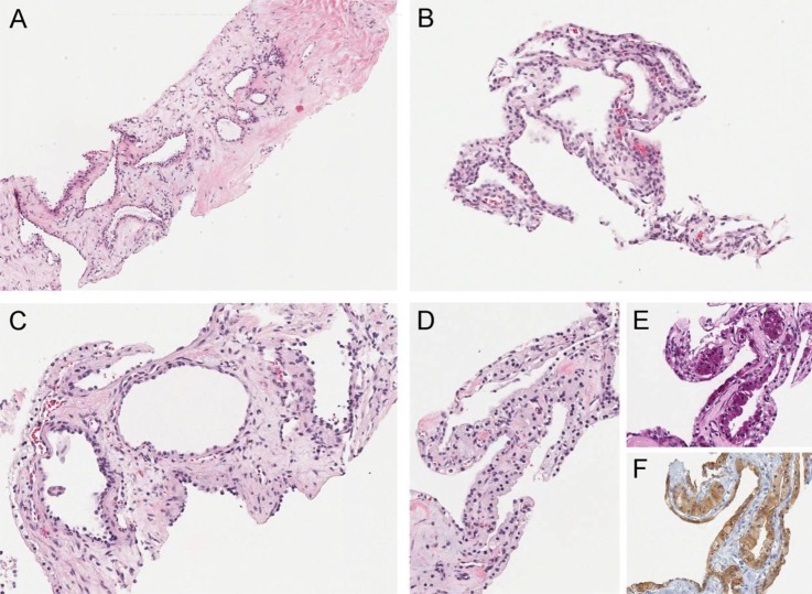 Figure 3