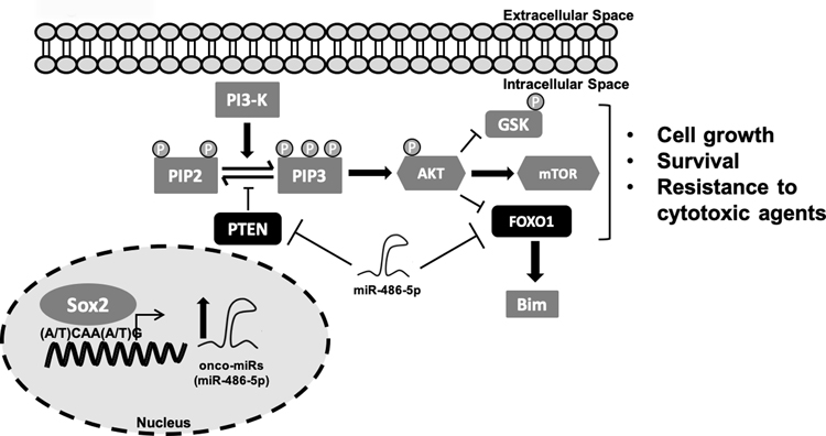 Figure 7: