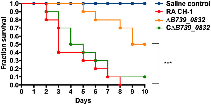 FIGURE 3