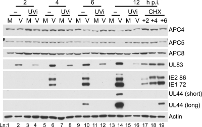 FIG. 7.