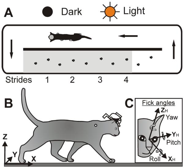 Fig. 1