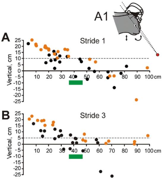 Fig. 9