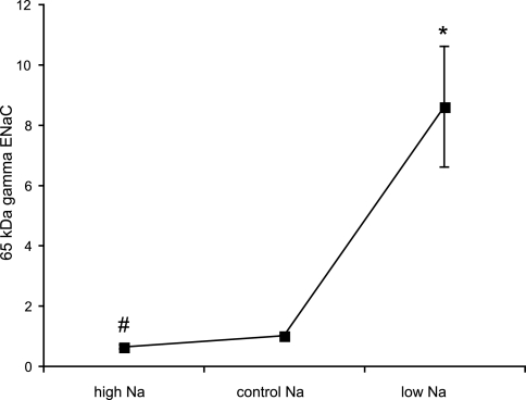 Fig. 8.